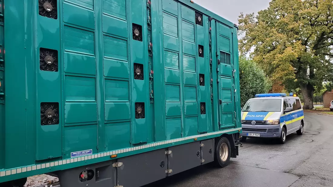 POL-CUX: Gemeinsame Pressemeldung der Polizeiinspektion Cuxhaven und des Bereichs Veterinärwesen des Landkreises Cuxhaven - Kontrolle von Tiertransporten - Behördenübergreifende Zusammenarbeit - Bild: presseportal.de