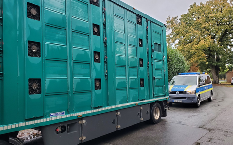 POL-CUX: Gemeinsame Pressemeldung der Polizeiinspektion Cuxhaven und des Bereichs Veterinärwesen des Landkreises Cuxhaven - Kontrolle von Tiertransporten - Behördenübergreifende Zusammenarbeit - Foto: presseportal.de