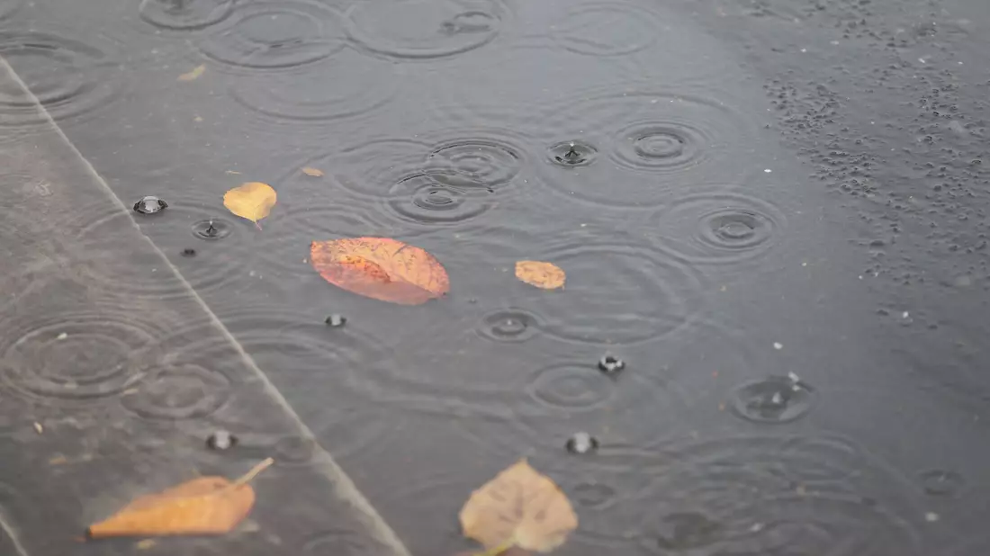Insbesondere im Norden kam viel Regen herunter. (Archivbild) - Bild: Sascha Thelen/dpa
