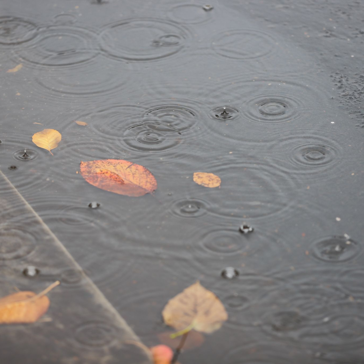 Insbesondere im Norden kam viel Regen herunter. (Archivbild) - Foto: Sascha Thelen/dpa