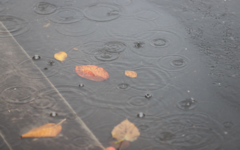 Insbesondere im Norden kam viel Regen herunter. (Archivbild) - Foto: Sascha Thelen/dpa