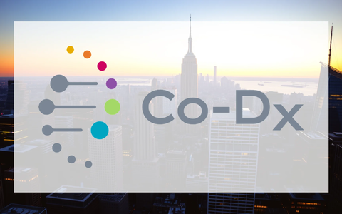 Co-Diagnostics Shares Plummet Following Dilutive Financing Move - Foto: über boerse-global.de