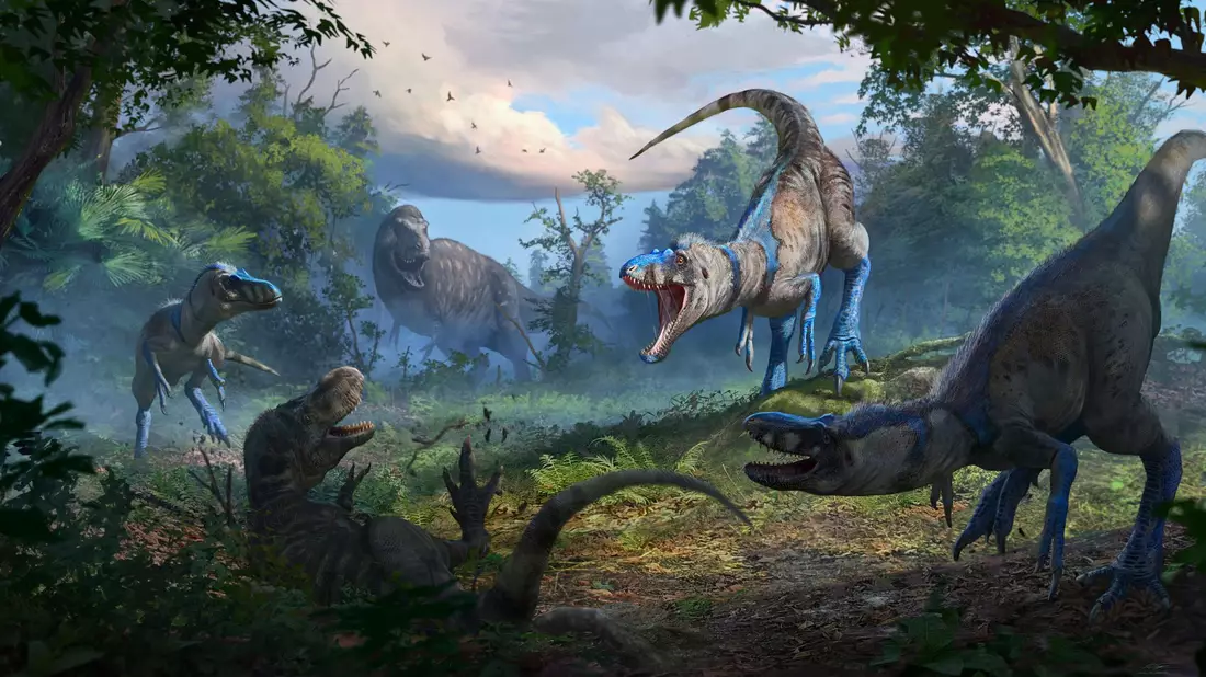 Nanotyrannus war wohl ein schlankerer, schnellerer und wendigerer Jäger als der T-Rex. - Bild: Anthony Hutchings/Nature/dpa