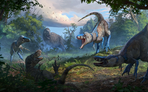 Nanotyrannus war wohl ein schlankerer, schnellerer und wendigerer Jäger als der T-Rex. - Foto: Anthony Hutchings/Nature/dpa