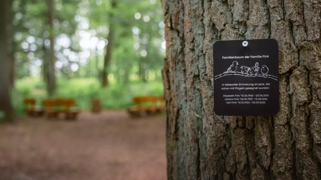 Erfolgsgeschichte FriedWald / Darum wollen immer mehr Menschen lieber in den Wald statt auf den Friedhof - Bild: presseportal.de