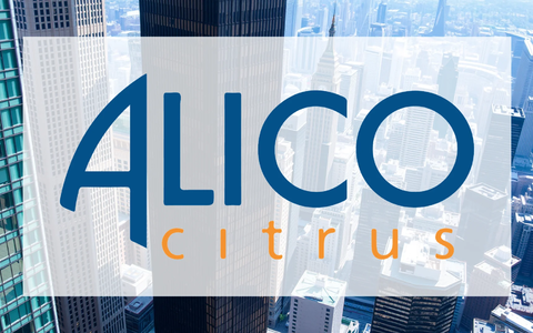 Alico’s Pivotal Transformation: Navigating Crisis Through Strategic Overhaul - Foto: über boerse-global.de