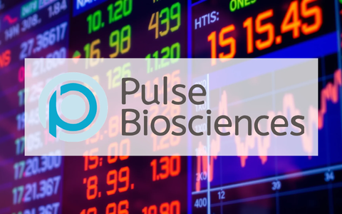 Pulse Biosciences Stock Faces Critical Earnings Test - Foto: über boerse-global.de