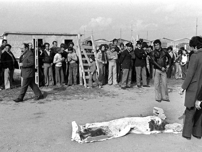 Der Mord an dem Regisseur Pier Paolo Pasolini beschäftigt Italien auch noch nach 50 Jahren. (Archivbild) - Foto: epa ansa/epa ansa files/dpa