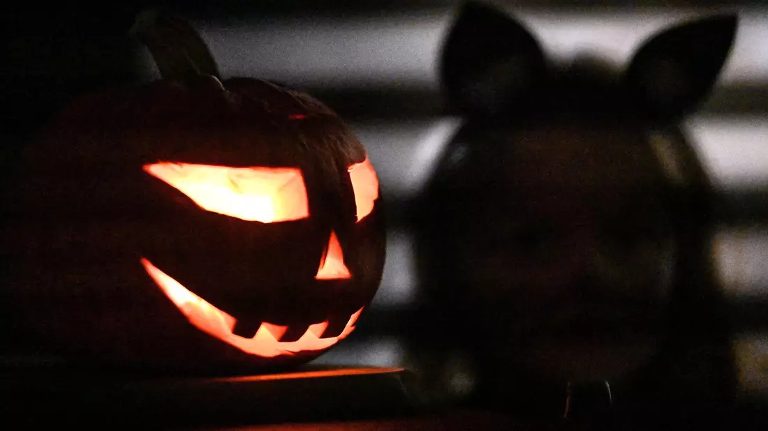 Halloween wird auch in Deutschland gefeiert. - Bild: Swen Pförtner/dpa