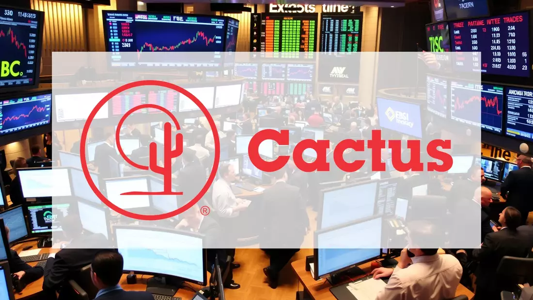 Cactus Aktie: Zerrissen zwischen Gewinn und Umsatz - Bild: über boerse-global.de