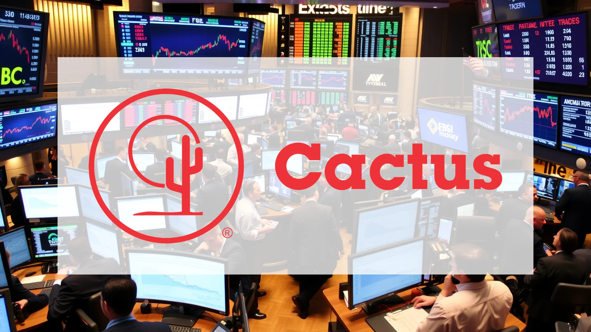 Cactus Aktie: Zerrissen zwischen Gewinn und Umsatz - Foto: über boerse-global.de