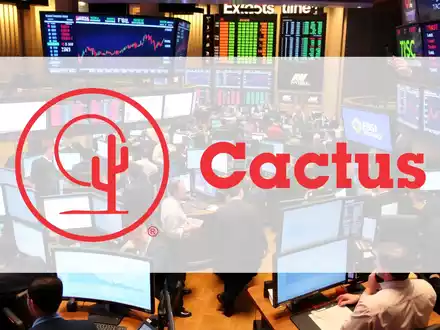 Cactus Aktie: Zerrissen zwischen Gewinn und Umsatz - Foto: über boerse-global.de