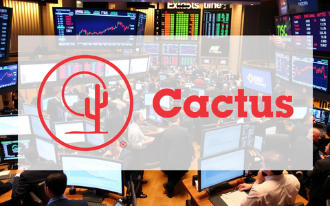 Cactus Aktie: Zerrissen zwischen Gewinn und Umsatz - Foto: über boerse-global.de