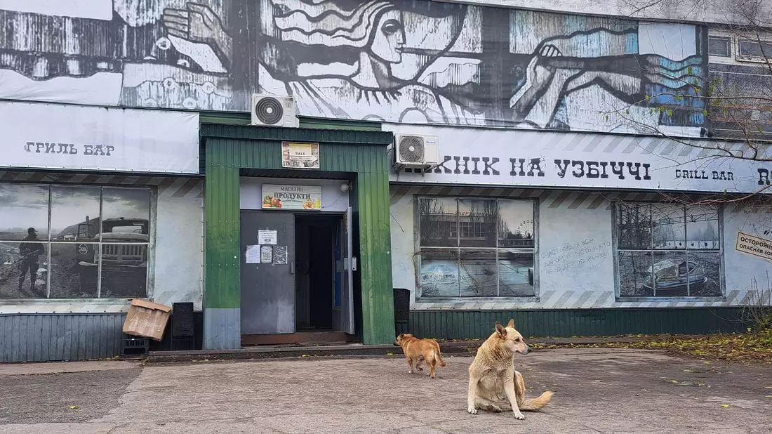 Bis heute gibt es in Tschernobyl eine Population von Straßenhunden.  - Bild: Andreas Stein/dpa