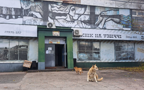 Bis heute gibt es in Tschernobyl eine Population von Straßenhunden.  - Foto: Andreas Stein/dpa