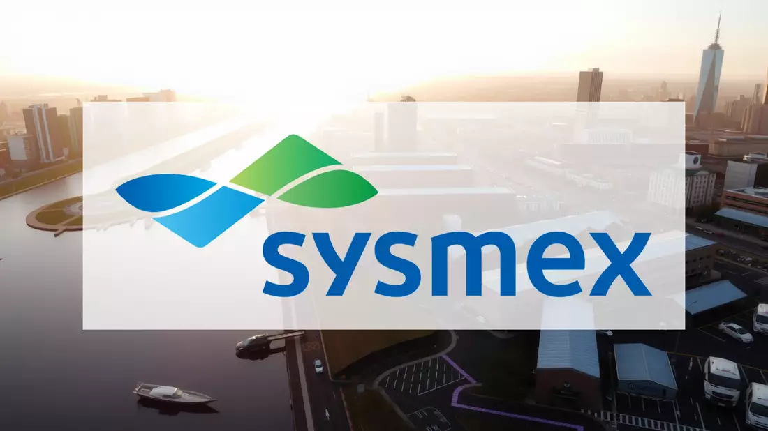 Sysmex Shares Face Critical Test Amid Steep Decline Illustration mit AI erstellt übermittelt durch boerse-global.de