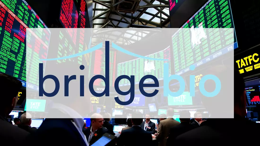 BridgeBio Pharma Investors Await Critical Heart Drug Data Illustration mit AI erstellt übermittelt durch boerse-global.de