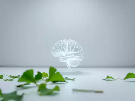 Ginkgo-Extrakt: Hoffnung für vergessliche Senioren - Foto: über boerse-global.de
