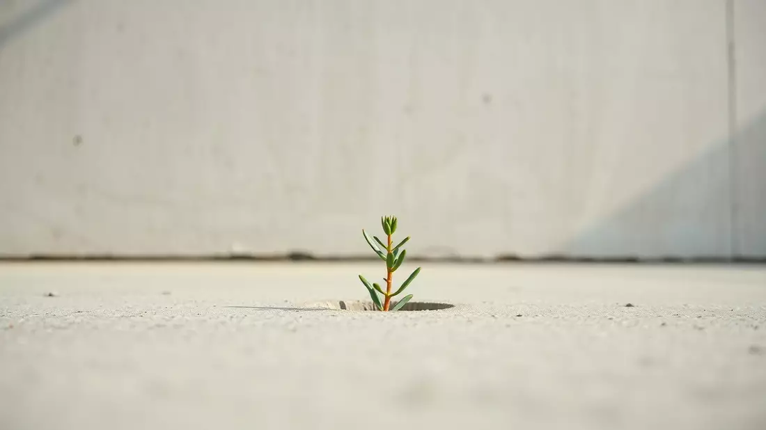 Resilienz: Das trainierbare Immunsystem der Seele Illustration mit AI erstellt übermittelt durch boerse-global.de