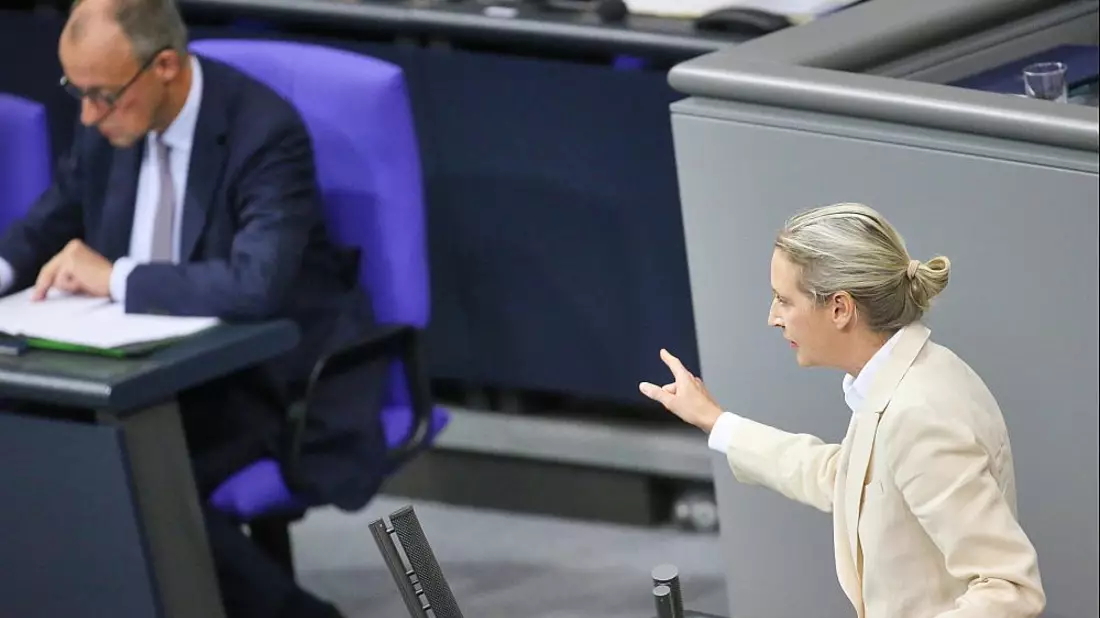 Friedrich Merz und Alice Weidel (Archiv) - Bild: über dts Nachrichtenagentur
