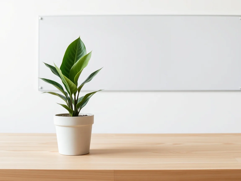 Generation Z am Limit: Psychische Gesundheit wird zur Priorität - Foto: über boerse-global.de