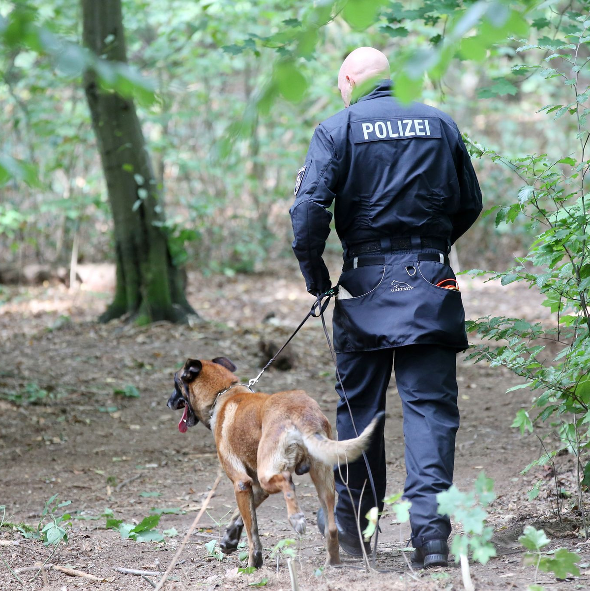 Mit großen Suchaktionen hatte die Polizei etwa im Altonaer Volkspark in Hamburg nach der vermissten Hilal gesucht. (Archivbild) - Foto: Bodo Marks/dpa