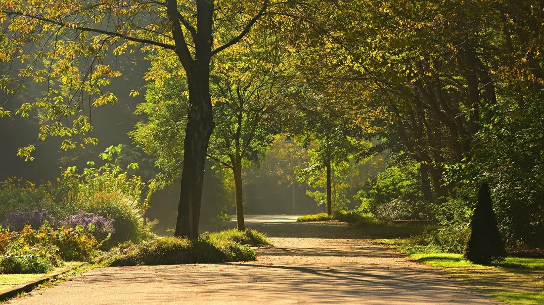 Berlin setzt mit Klimaanpassungsgesetz wichtiges Zeichen für mehr Stadtgrün - Bild: presseportal.de