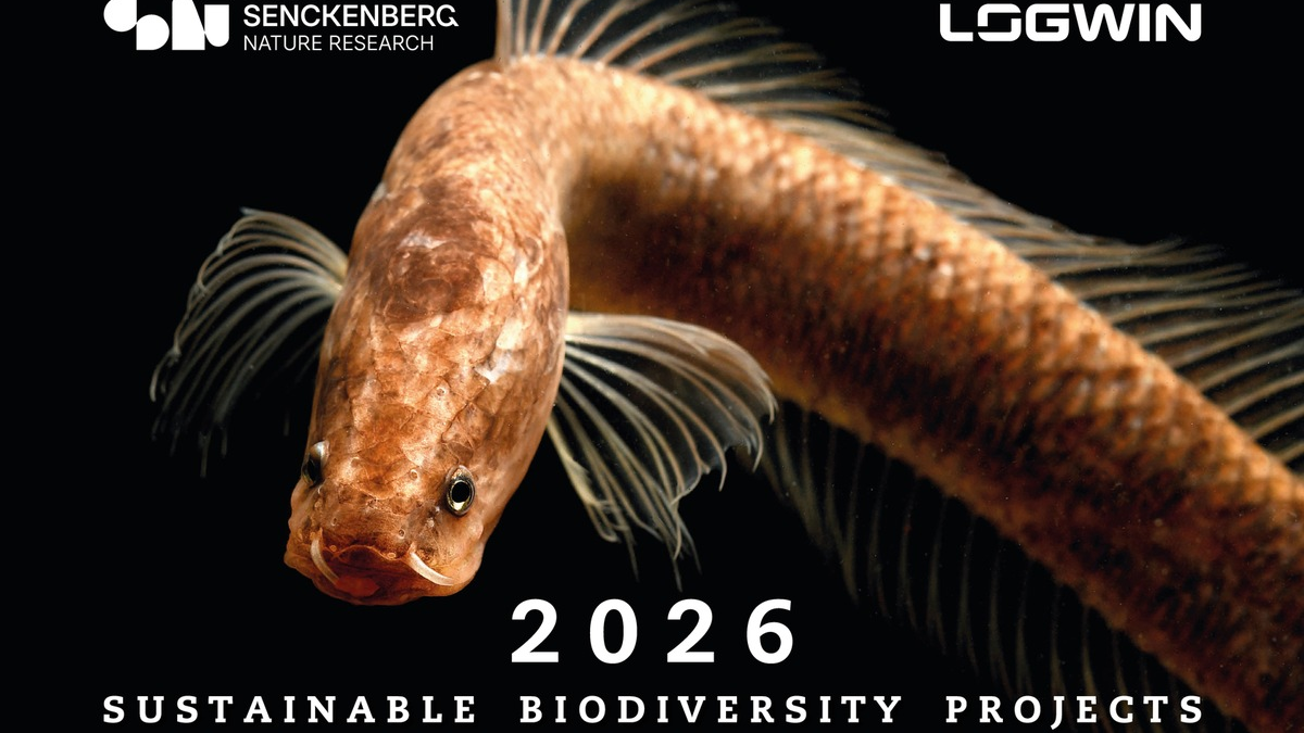 Logwin und Senckenberg präsentieren gemeinsamen Fotokalender 