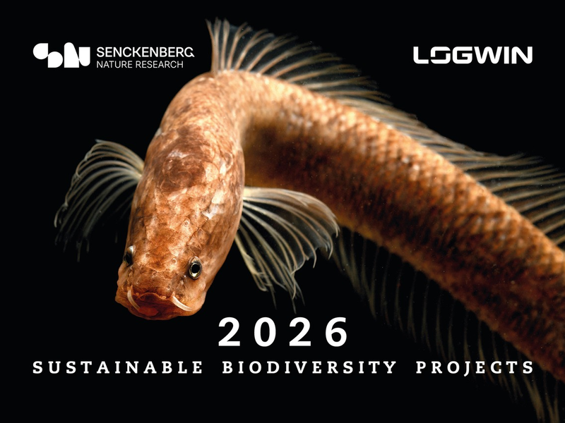 Logwin und Senckenberg präsentieren gemeinsamen Fotokalender One of a Kind - Foto: presseportal.de