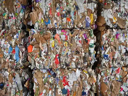 Aus altem Papier lässt sich neues machen. - Foto: Patrick Pleul/dpa-Zentralbild/ZB