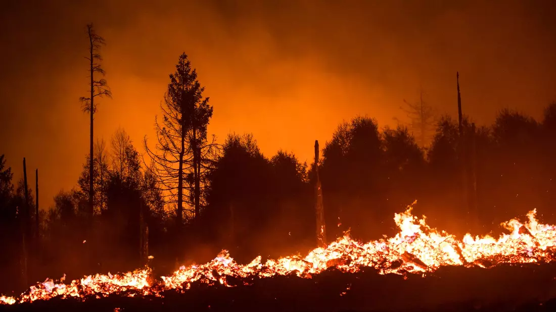 Die Waldbrandgefahr steigt mit dem Klimawandel, da Dürren häufiger werden. (Illustration) - Bild: Daniel Vogl/dpa/dpa-tmn