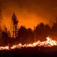 Die Waldbrandgefahr steigt mit dem Klimawandel, da Dürren häufiger werden. (Illustration) - Bild: Daniel Vogl/dpa/dpa-tmn