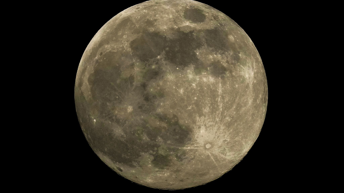 Das Phänomen Supermond begeistert immer wieder zahlreiche Menschen. (Archivbild) - Foto: Anupam Nath/AP/dpa