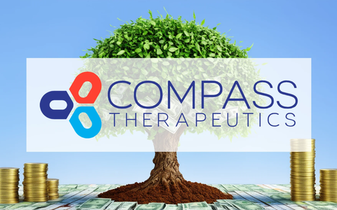 Compass Therapeutics Shares Surge on Promising Cancer Drug Data - Foto: über boerse-global.de