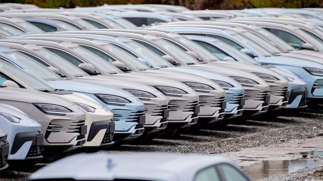 Elektroautos von BYD: Das Unternehmen stand in den ersten drei Quartalen für fast ein Viertel der chinesischen Produktion. (Archivbild) - Bild: Hauke-Christian Dittrich/dpa