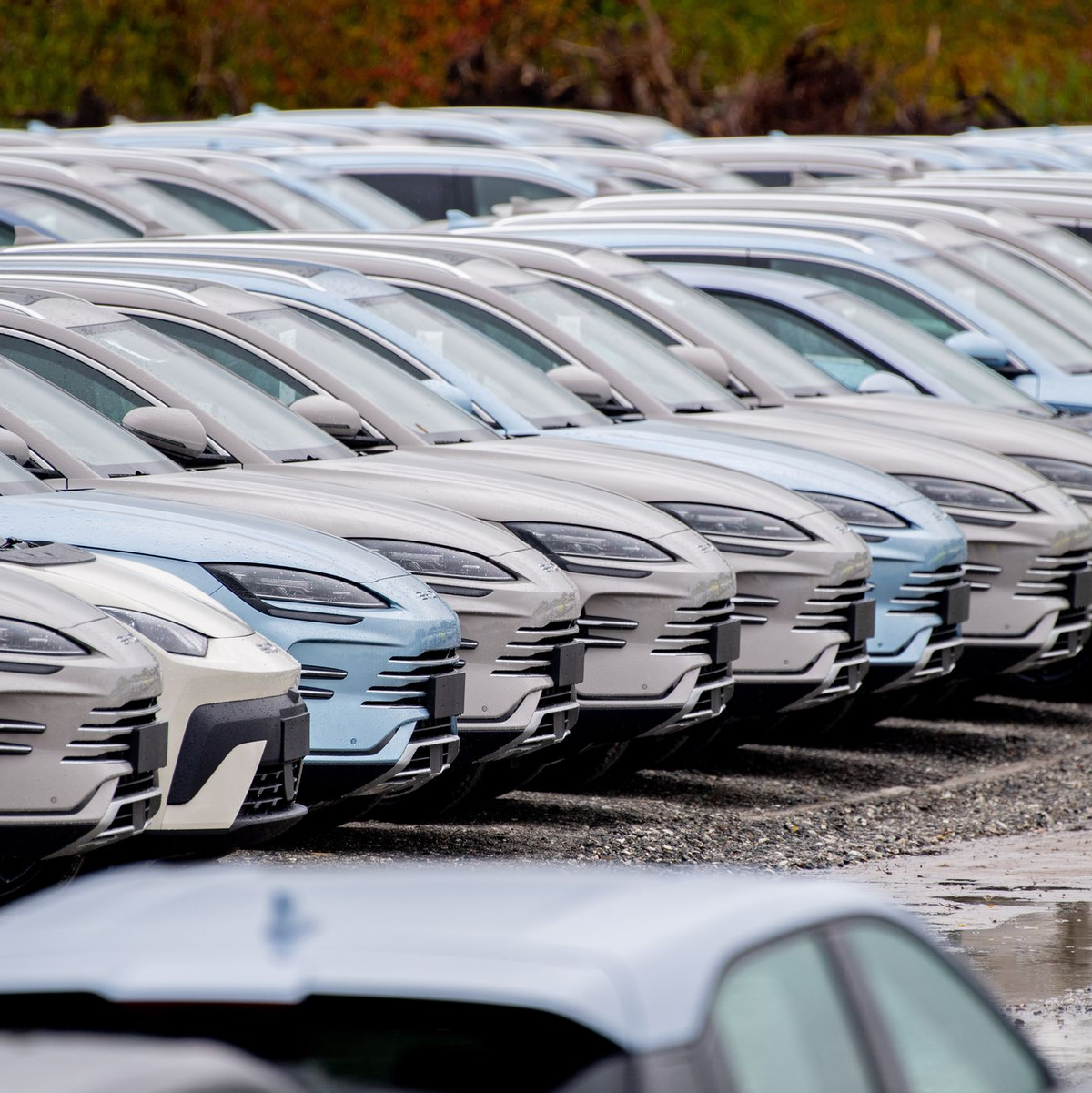 Der Elektroautoabsatz ist im November in Deutschland erneut deutlich gestiegen. (Archivbild) - Foto: Hauke-Christian Dittrich/dpa