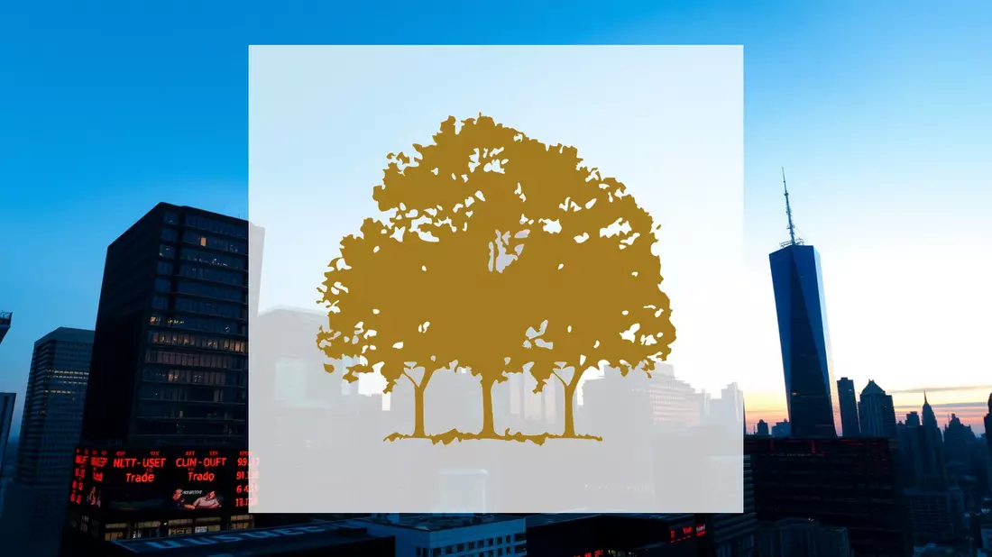 Canopy Growth Aktie: Schwierige Entscheidungstage - Bild: über boerse-global.de