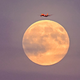 Der sogenannte Supermond ist der größte Vollmond des Jahres. - Foto: Jennifer Brückner/dpa