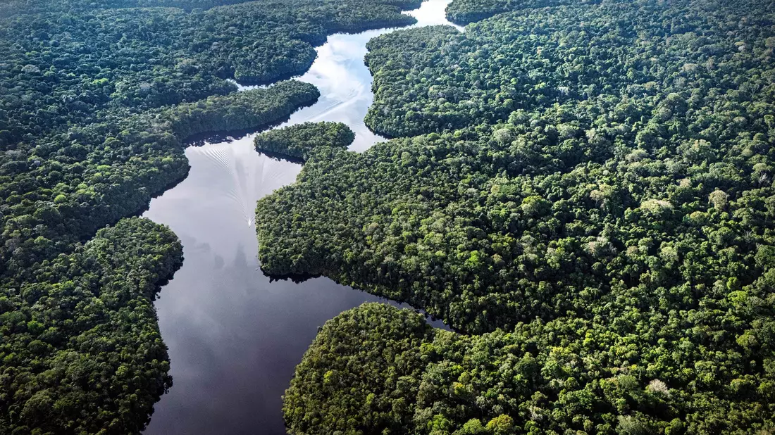 Der Amazonas: extrem wichtig fürs Klima, aber enorm unter Stress. (Archivbild) - Bild: Jorge Saenz/AP/dpa