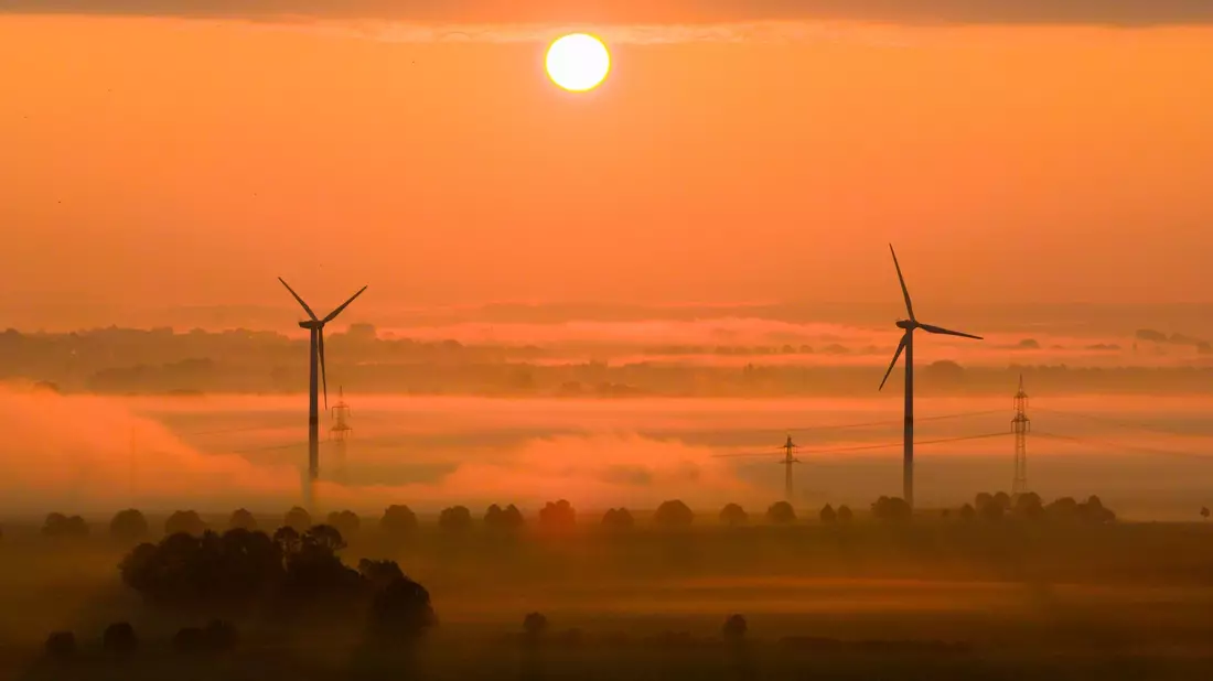 Die OECD fordert mehr Tempo beim Klimaschutz. (Archivbild) - Bild: Julian Stratenschulte/dpa