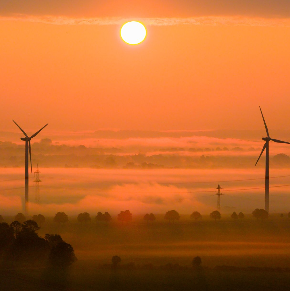 Die OECD fordert mehr Tempo beim Klimaschutz. (Archivbild) - Foto: Julian Stratenschulte/dpa