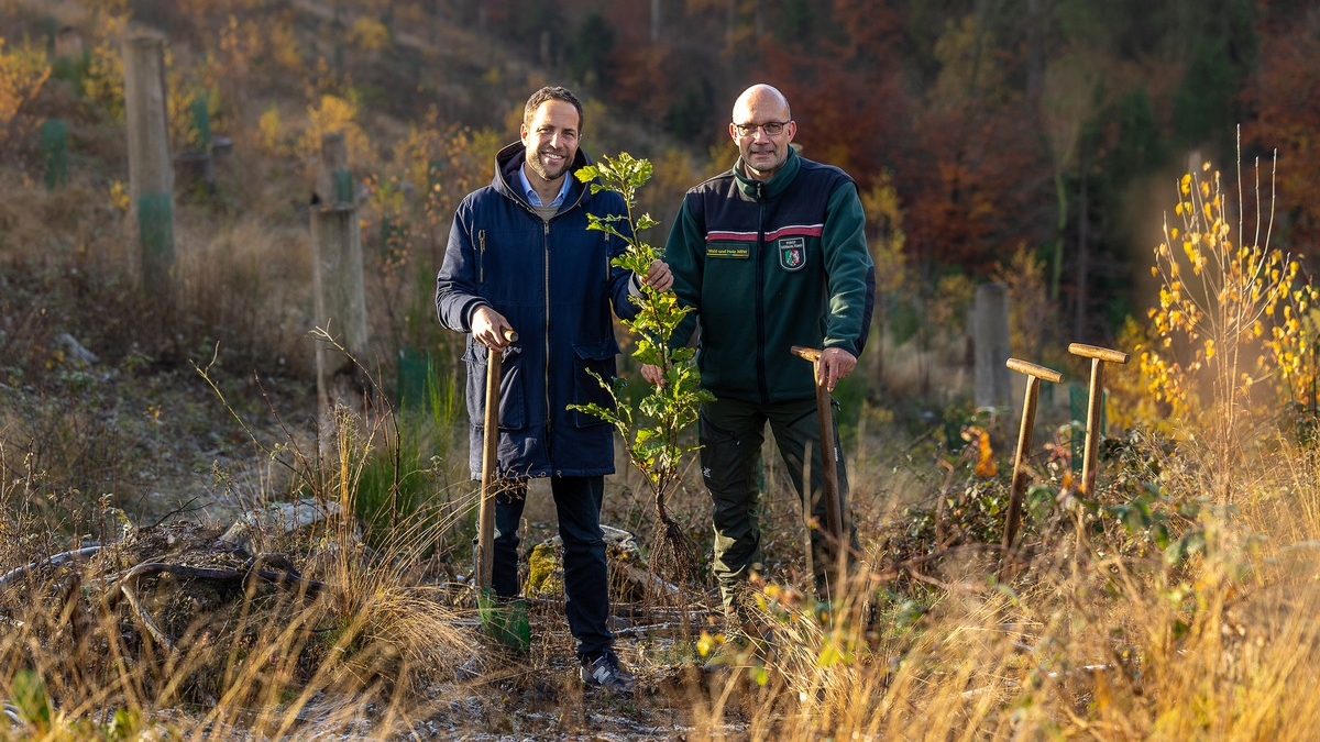 Meilenstein erreicht: Krombacher hat eine Million Bäume gepflanzt - Foto: presseportal.de
