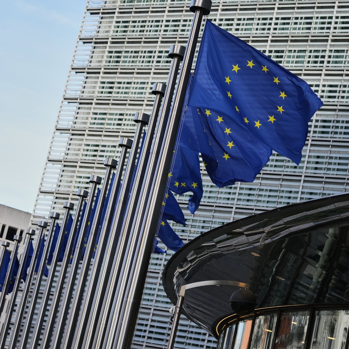 Die EU-Kommission will der Untersuchung Vorrang einräumen (Archivbild) - Foto: Virginia Mayo/AP/dpa