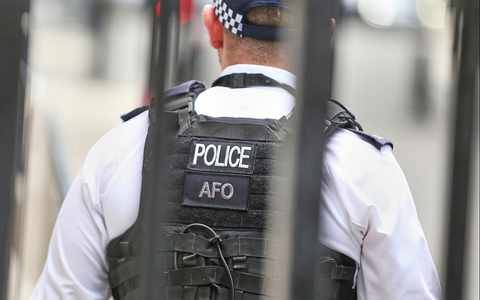 Britischer Polizist (Archiv) - Foto: über dts Nachrichtenagentur