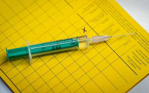 Gürtelrose wird wie Windpocken durch Varizella-Zoster-Viren verursacht. (Symbolbild) - Foto: Friso Gentsch/dpa