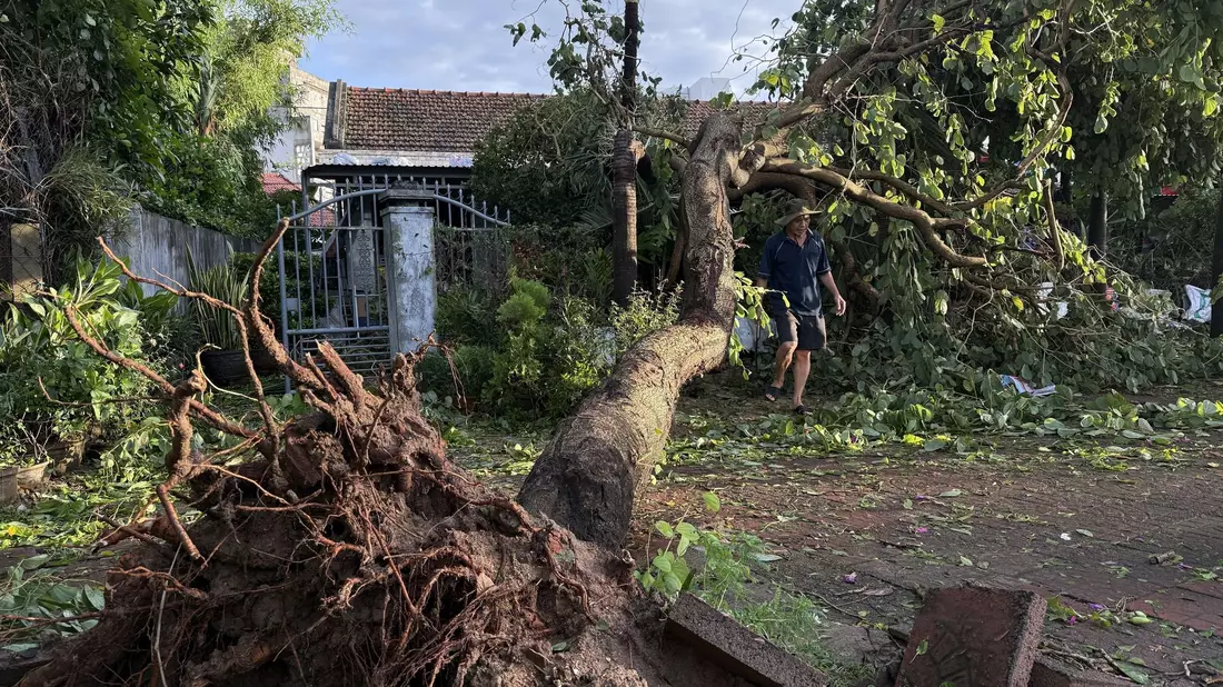In Vietnam wurden Bäume entwurzelt und Tausende Häuser beschädugt. - Bild: Tuong Quan/Vietnam News Agency/AP/dpa