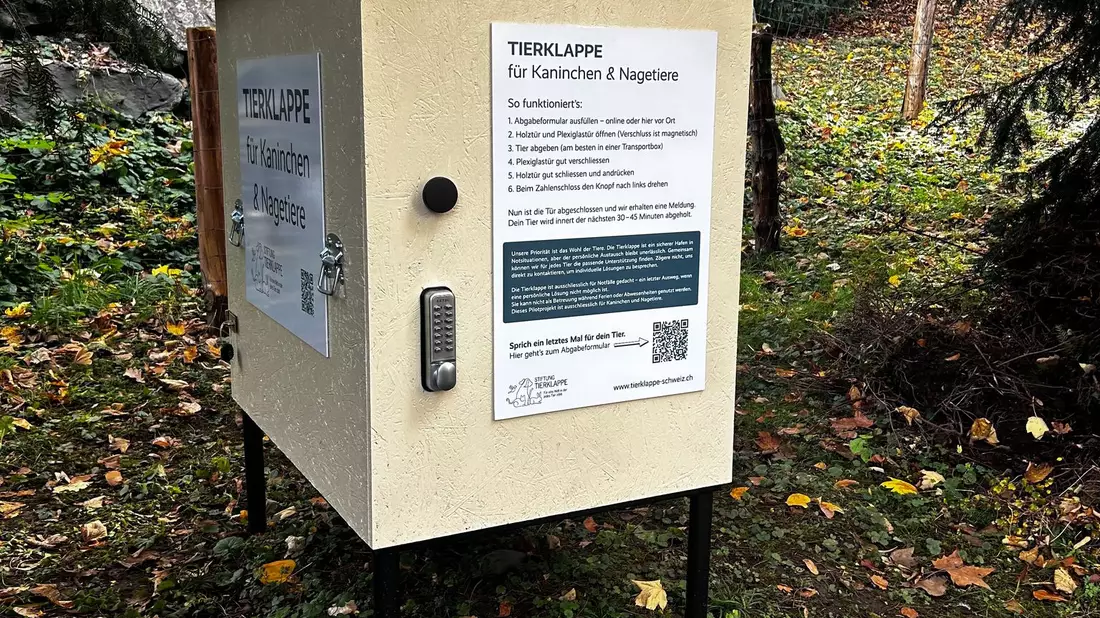 Wenn die Tür geschlossen wird, werden Tierschützer alarmiert. - Bild: -/Stiftung Tierklappe/dpa