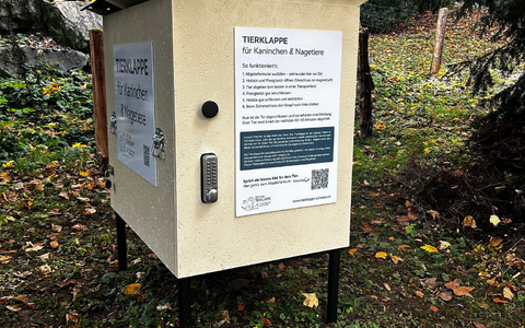 Wenn die Tür geschlossen wird, werden Tierschützer alarmiert. - Foto: -/Stiftung Tierklappe/dpa