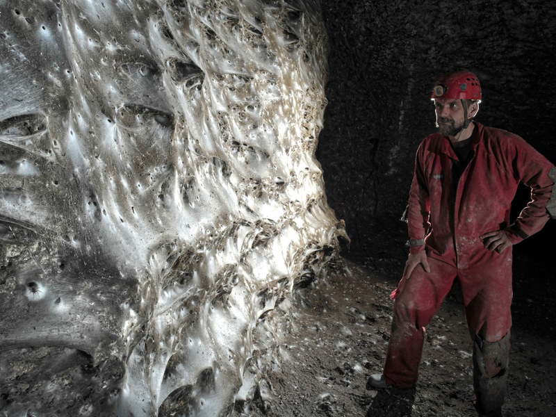 Eine Hauswinkelspinne in ihrem Trichternetz - Foto: Marek Audy/Urak et al. 2025, Subterranean Biology, CC BY 4.0/dpa