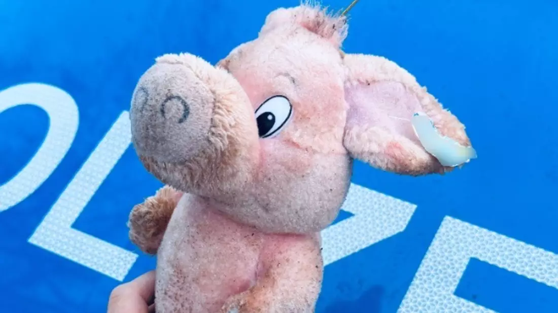 POL-HL: Zeugenaufruf: Welches Kind möchte vor Weihnachten Schwein haben? - Bild: presseportal.de